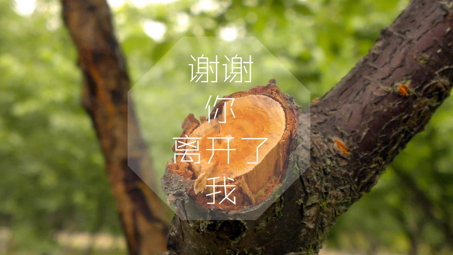 im电竞官方版-世界沙滩排球巡回赛中国站落幕，本土组合斩铜，国际排联沙滩排球世界巡回赛